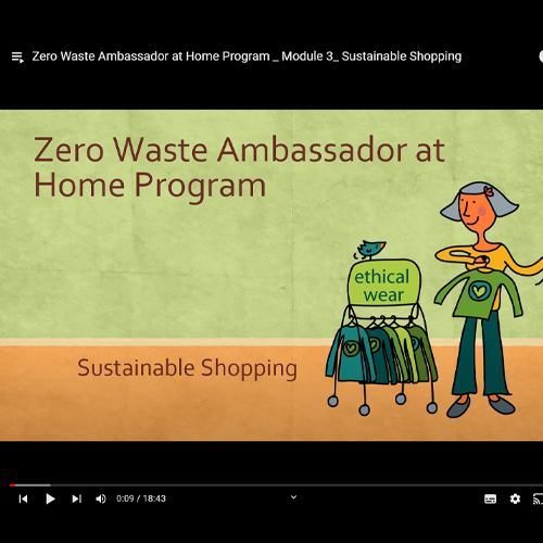 Zero Waste Ambassadors at Home Program _ Module 3: Sustainable Shopping