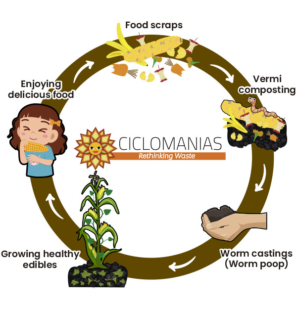 Compost Cycle