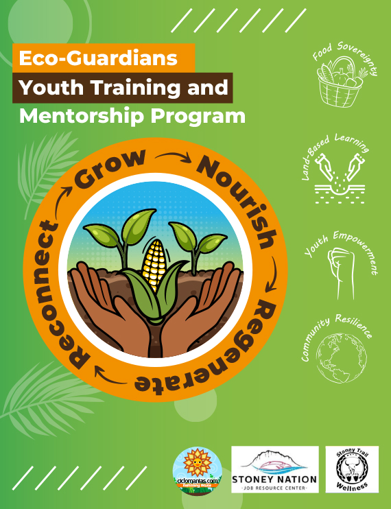 Eco-Guardians Youth Training & Mentorship Program