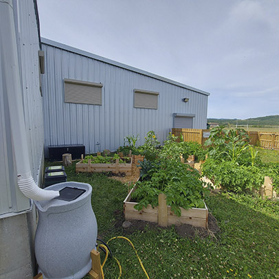 Chief Jacob Bearspaw School Garden