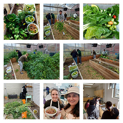 Water Stewardship in Action