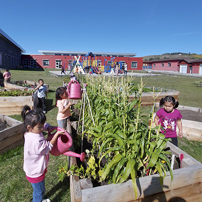 Regenerating Ecosystems
