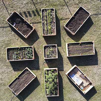 Chief Jacob Bearspaw School Garden